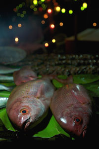 fish in market
